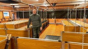 Ferkelaufzucht in gemütlicher Holzoptik: Landwirt Behnen freut sich über seinen ansehnlichen Stall.