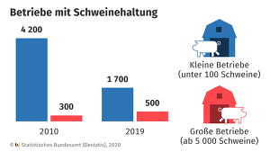 Die Grafik verdeutlicht den Strukturwandel in der Schweinehaltung. (Bildquelle: Statistisches Bundesamt, Destatis)