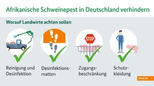 ASP Infografik Landwirte Biosicherheit Afrikanische Schweinepest BMEL