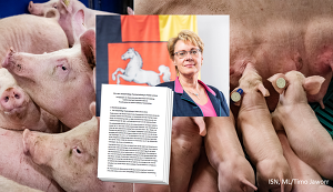 Die Landesregierung in Niedersachsen will eine landeseigene Nutztierstrategie.  © ISN, ML Niedersachsen/Timo Jaworr