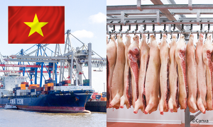 Vietnam hat seinen Markt für Schweinefleischexporte aus Deutschland wieder geöffnet (Bild ©Canva)