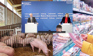 Header Machbarkeitsstudie