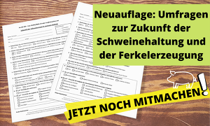 Machen Sie mit bei der neuen ISN-Umfrage zur Zukunft der Schweinehaltung in Deutschland! ©ISN, Canva