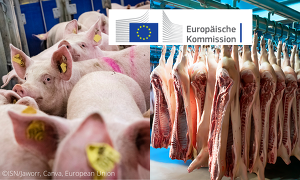 Für die von der EU-Kommission bezuschusste Private Lagerhaltung (PLH) für Schweinefleisch wurden insgesamt rund 47.500 t in 17 EU-Mitgliedstaaten angemeldet.