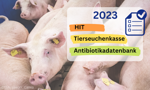 Header Stichtagsmeldungen 2023