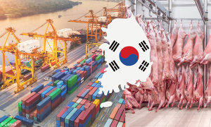 Endlich einmal eine positive Nachricht für deutsche Schweinehalter und Hoffnung auf Marktentlastung: Südkorea akzeptiert Regionalisierungskonzept