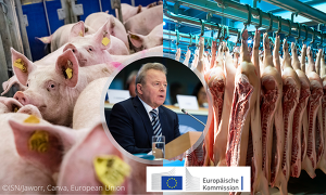 Um den Schweinehaltern aus der Verlustzone zu helfen, ist die PLH nicht das richtige Instrument (Bild ©ISN/Jaworr, Canva, European Union)