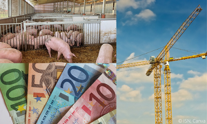 Bund und Länder wollen bei der künftigen Stallbauförderung bundesweit einheitliche Bedingungen für Schweinehalter schaffen.