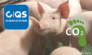 Header Qs Klimaplattform 2
