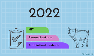 Kleine Checkliste für den Start in das neue Jahr (© Canva)