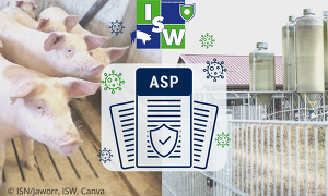 ASP und AI stellen eine akute Gefahr für Tierhaltungsbetriebe dar