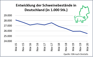 Die endgültige Zahl der Schweine ist seit der letzten Erhebung im November 2019 um 2,2 % oder 573.700 Tiere gesunken