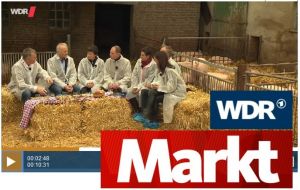 WDR Markt: Diskussionsrunde auf Strohballen