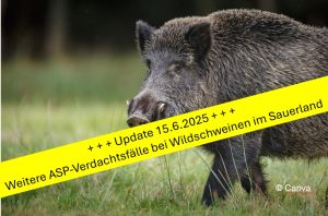 ASP Verdacht NRW Verdachtsfälle