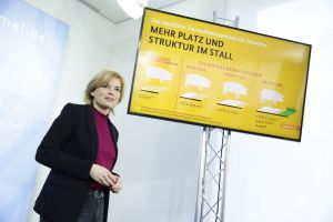Bundesministerin Julia Klöckner bei der Vorstellung der Kriterien des staatlichen Tierwohlkennzeichens für Schweine, (Quelle: BMEL/Photothek)