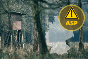 Das Einschleppungsrisiko des ASP-Virus in ASP-freie Bundesländer ist bei Jagdreisen in die von der ASP betroffenen Gebiete besonders hoch (Bild ©Canva)
