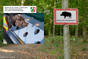 Zur Eindämmung der Tierseuche erhält NRW eine eigene Suchhundeeinheit.