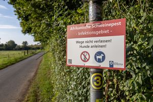 Hinweisschild im ASP-Infektionsgebiet in Hessen © Lisa Lange, Landkreis Darmstadt-Dieburg