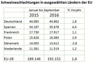 Ein kleines Plus bei den Schweineschlachtungen von Januar bis September 2016