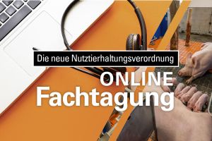 Informationsveranstaltung: neue gesetzliche Rahmenbedingungen in Sauenhaltung sowie Fördermaßnahmen für Stallumbauten