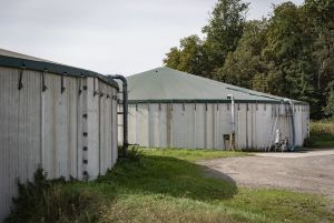 Gülle muss mindestens drei Wochen auf dem Ursprungsbetrieb gelagert werden können © ISN/Jaworr
