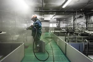Zwischen der Ausstallung und der Wiederbelegung sollte der Stall und dazugehörige Einrichtungen gründlich gewaschen und desinfiziert werden © ISN/Jaworr
