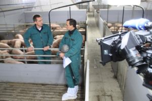 Kein Alltag für Schweinehalter: Ein Interview mit einem TV-Team