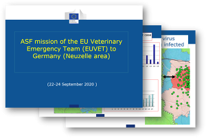 Bericht des Veterinärnotfallteams der EU (EUVET) zur ASP-Situation in Brandenburg.
