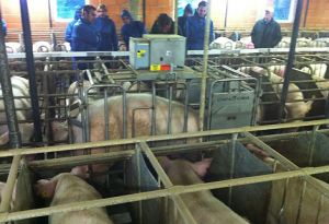 Schweinehaltung live in Steinfeld: Die Studenten besichtigen einen Sauenbetrieb und informieren sich über Equipment für die moderne Sauenhaltung