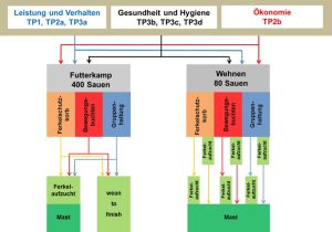 Die Ergebnisse aus dem Innopig-Projekt werden am 3. und 4. April vorgestellt