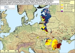 Karte: ASF im Baltikum, in Belgien, Bulgarien, Moldawien, Polen, Rumänien, der Tschechischen Republik, Ungarn und der Ukraine 2018, Stand 21.11.2018, 09:31 Uhr (Quelle: FLI)