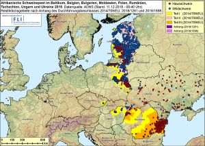 ASF im Baltikum, in Belgien, Bulgarien, Moldawien, Polen, Rumänien, der Tschechischen Republik, Ungarn und der Ukraine 2018, Stand 11.12.2018, 08:40 Uhr (Quelle: FLI)