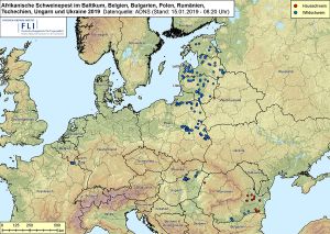 ASF im Baltikum, in Belgien, Bulgarien, Polen, Rumänien, der Tschechischen Republik, Ungarn und der Ukraine 2019, Stand 15.01.2019 (Quelle: FLI)