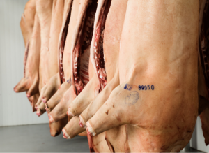 2022 kamen 9,2 % weniger Schweine an den Haken als im Vorjahr (Bild ©Canva)