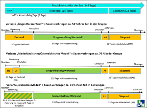 Aktuell werden verschiedene Varianten als mögliche Hlatungssysteme diskutiert.