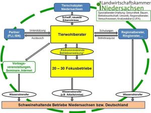 Projekt Schwanz Kupieren