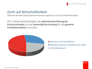 PIC Indexzusammensetzung