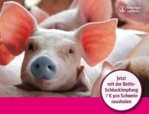 Nase vorn mit der Ileitis-Schluckimpfung (Bildquelle: Boehringer Ingelheim)