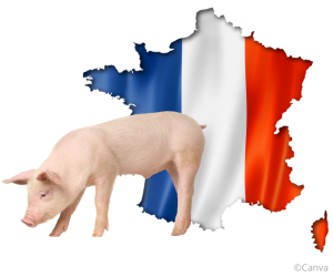 Frankreichkarte Mit Schwein