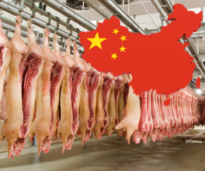 Chinas Schweinefleischimporte sollen 2022 im Vergleich zum Vorjahr um 1 Mio. t sinken (©Canva)