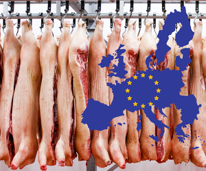 Die Schweinefleischerzeugung in der EU ist erneut gesunken ©Canva
