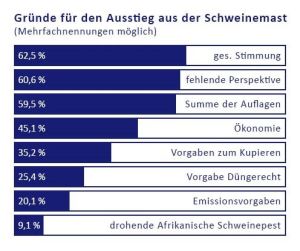 Die gesellschaftliche Stimmung ist für die Schweinemäster der wichtigste Grund für einen geplanten Ausstieg aus der Schweinemast