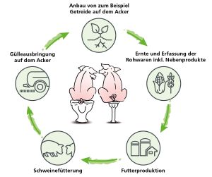 Landnutzung, Emissionen, Kosten für Rohwaren: Bei der Berechnung des ökologischen Fußabdrucks unterschiedlicher Schweinefutterkonzepte mit Hilfe des AGRAVIS Ökoeffizienz-Managers fließen Kriterien des gesamten Futterkreislaufs mit ein.