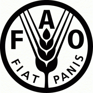 Fao Logo