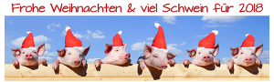 20171222 Weihnachten ISN