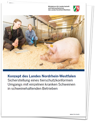 Der Leitfaden soll allen Beteiligten in der Entscheidungsfindung im Umgang mit erkrankten Schweinen helfen, um dem Tierschutz gerecht zu werden ©MLV NRW