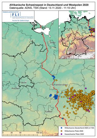 Afrikanische Schweinepest in Deutschland und Westpolen (Karte: FLI, Stand 13.11.20)