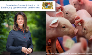 Bayern will mit einem eigenen Tierwohlprogramm "BayProTier" starten und nicht auf den Bund warten (Bild: ©ISN/Jaworr, Hauke Seyfarth / StMELF, Screenshot www.stmelf.bayern.de)