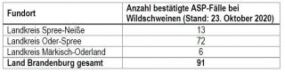 Aktueller Stand der ASP-Fälle in Brandenburg (Quelle: MSGIV)