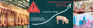 Schweinestau Zu Weihnachten